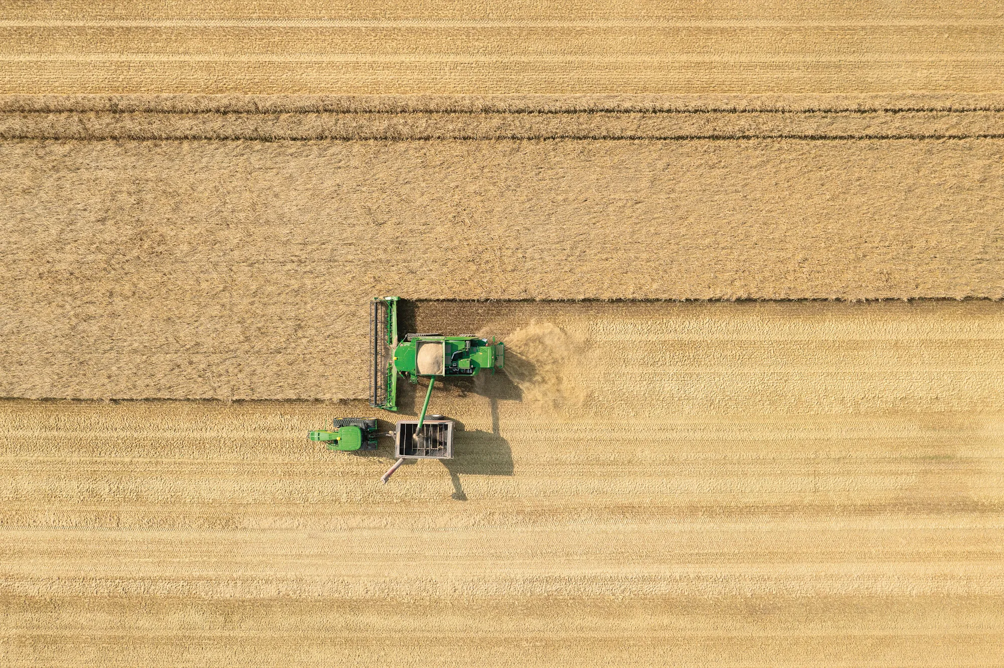 Yield Consortium: Die Fernerkundung aus dem All für die Landwirtschaft